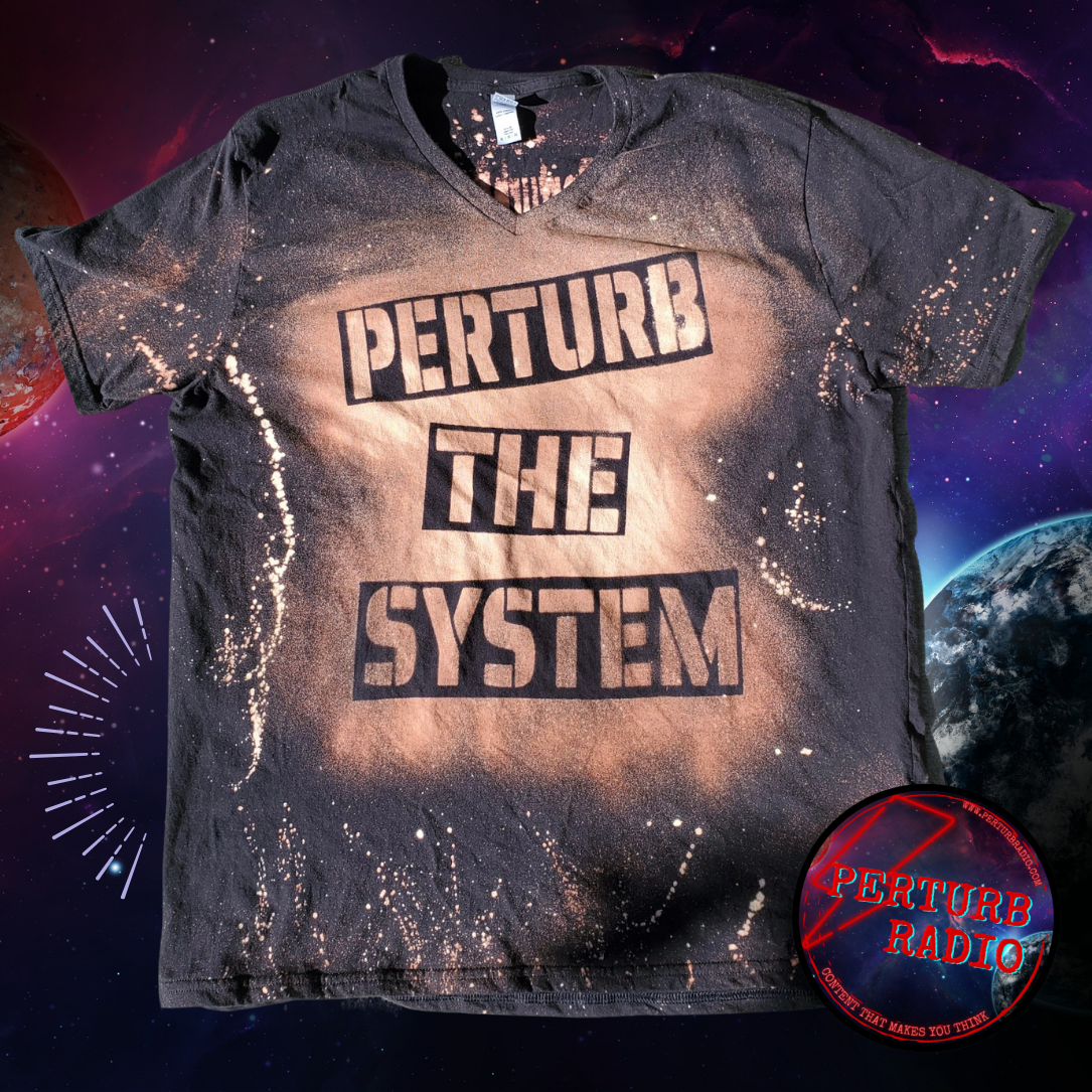 ⚡️BLEACH SHIRT: PERTURB THE SYSTEM